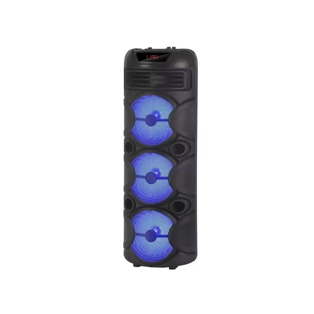 SPEAKER