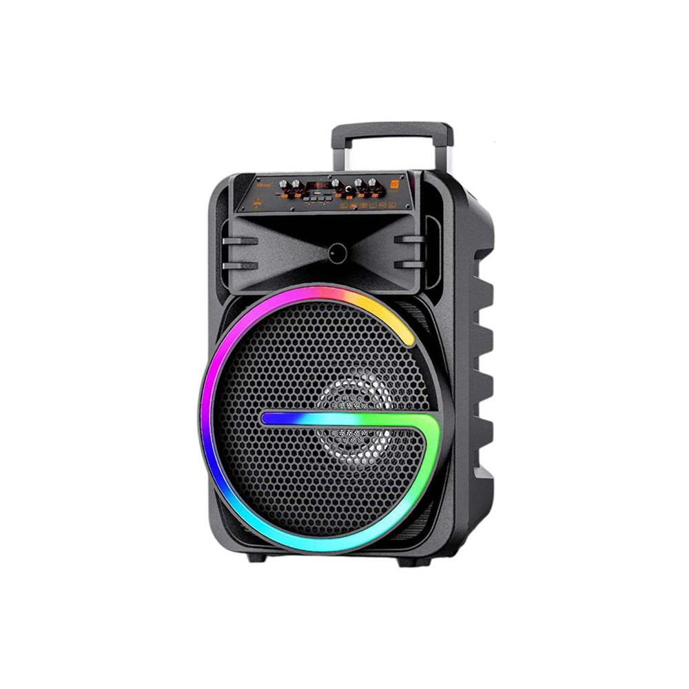 SPEAKER