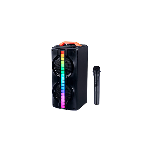 SPEAKER