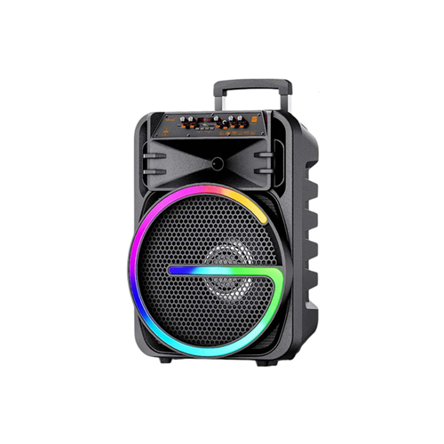SPEAKER
